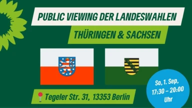 Sharepic zum Public Viewing der Landeswahlen Thüringen und Sachsen