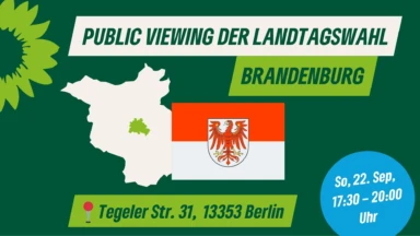 Sahrepic zu Landtagswahlen Brandenburg